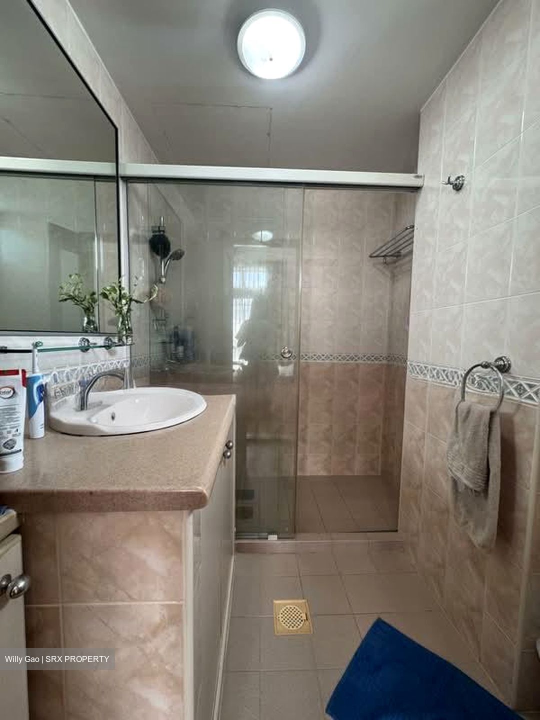Emerald Park (D3), Condominium #580809861